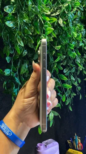 Ip 15 Pro Max