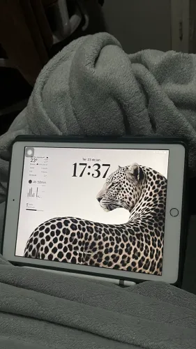 ipad 8 apple pencil