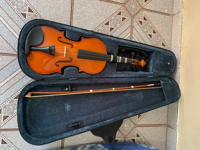 Violino