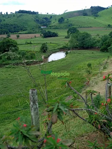 CHÁCARA FORMADA COM RIO NOS FUNDOS Á VENDA EM SILVEIRAS-SP