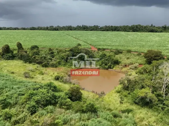 Chácara 9,30 Alqueires (45,01 hectares) Santa Rosa de Goiás - GO