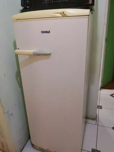Geladeira 110