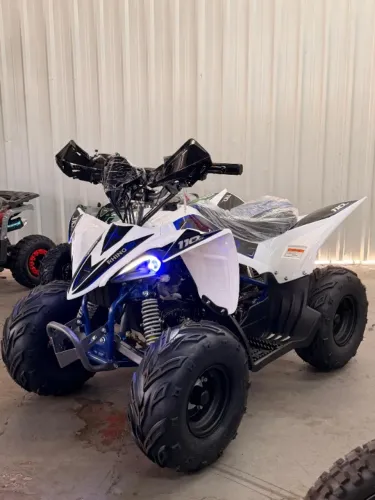 Mini Quadriciclo Fun Motors Rhino 110 (2026) | Novo | Loja em Brasília