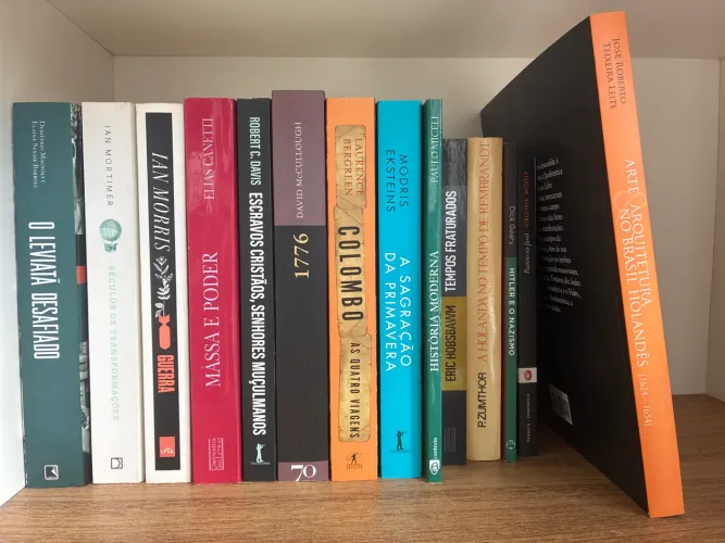 Combo de livros (14 livros)