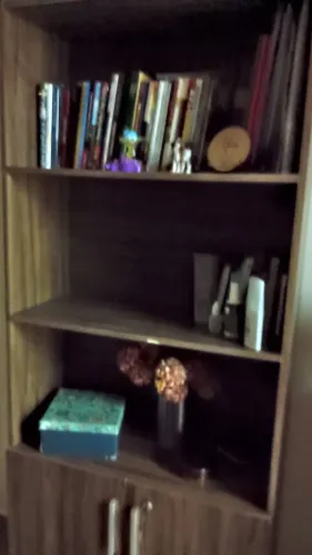 Armário livreiro com portas
