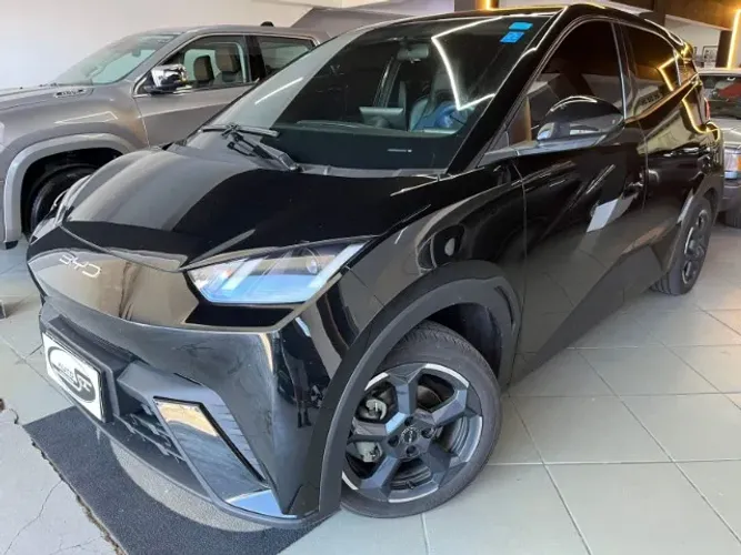 BYD Dolphin Mini (Elétrico) 2024