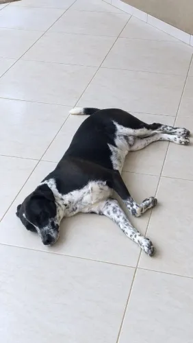 Doação