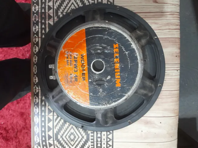 PAR DE ALTO FALANTE 12PLRG SELENIUM 400W 200RMS 4OHMS ORIGINAL FUNCIONANDO OK