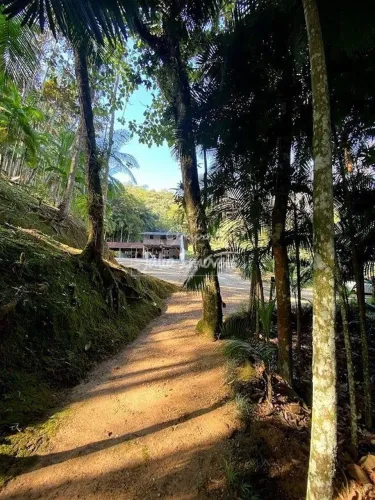 Chácara no bairro Vigolo em Nova Trento