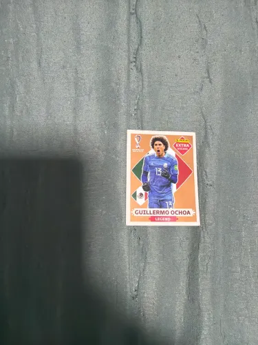 Carta do Guilhermo ochoa