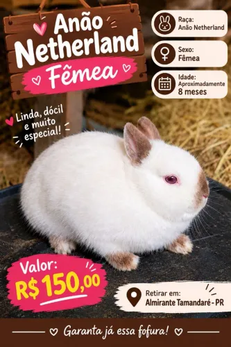 Mine coelha adulta