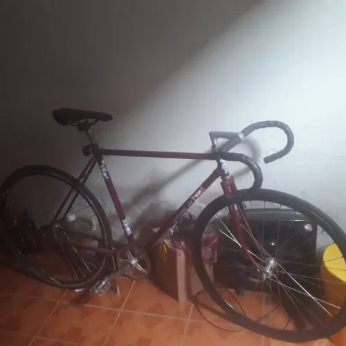 Vendo kaloy 10 1.000,00