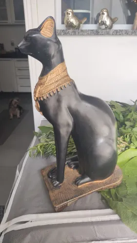 Gato preto Egípcio 