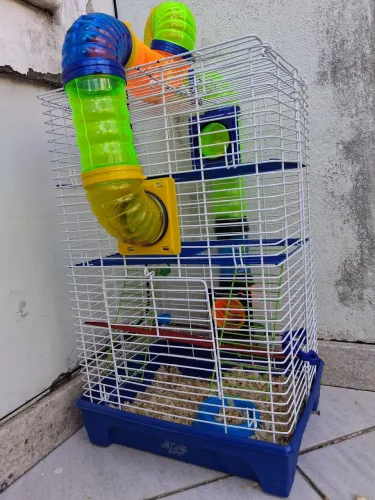 Gaiola para hemister 