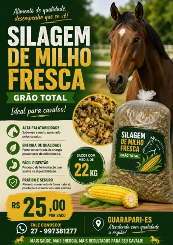 Silagem de milho fresca para cavalos grão total