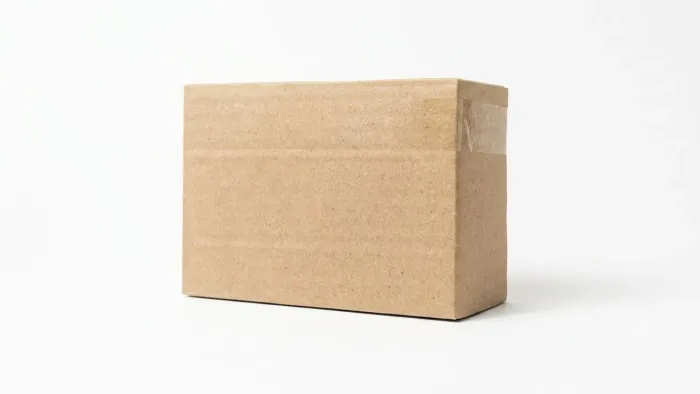 Caixa de papelão para envios Sedex PAC e-commerce 16×11×06 LOTE COM 1.500 CAIXA