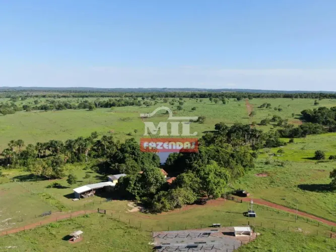 Fazenda 75 alqueires (363 hectares) Mozarlândia - Go