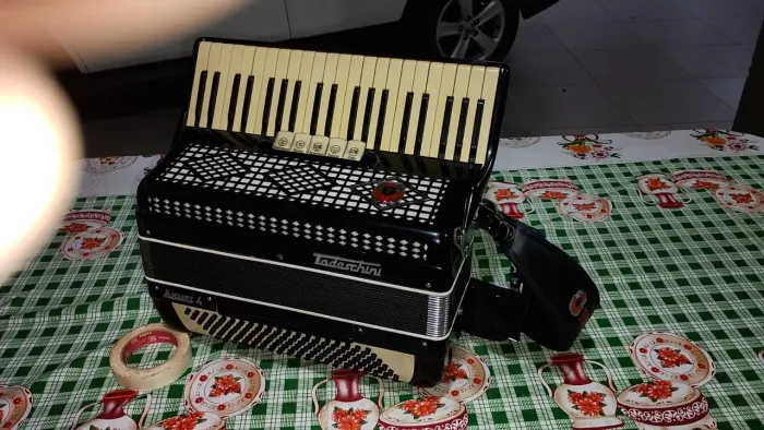Sanfona / Acordeon Todeschini Artist 4 - 120 baixos