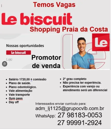 Promotor de vendas