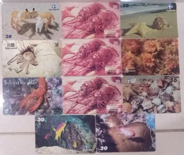 Cartões Telefônicos Série Animais Marinhos Antigos