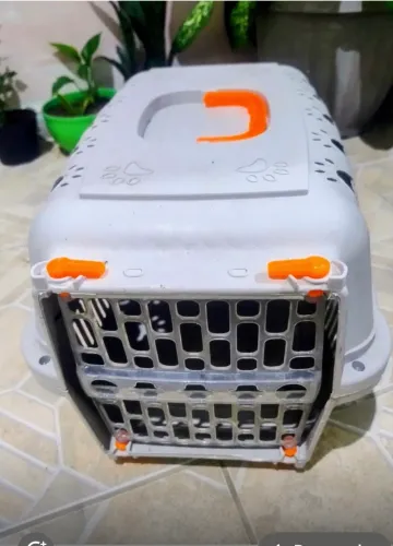 Caixa para pet