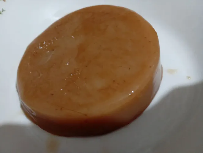 Scoby de kombucha