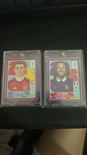 DUPLA BORDA ROXA PANINI FIGURINHAS AMERICANAS