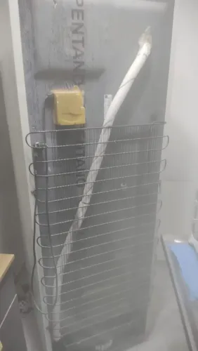 Geladeira Electrolux Frost Free DFN41 COM DEFEITO.