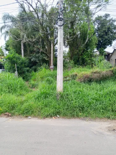 Terreno em viamão 