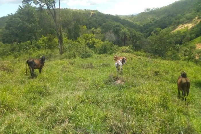 Excelente oportunidade terreno rural de 13 hectares, Jaboticatubas(Temos varias opções)