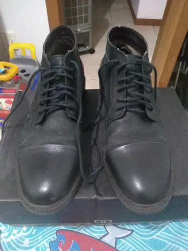 BOTA DEMOCRATA