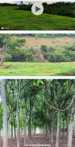 Sítio em romaria venda