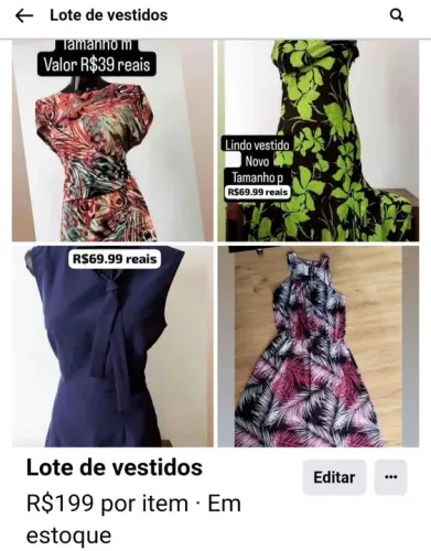 Lote de vestidos novos