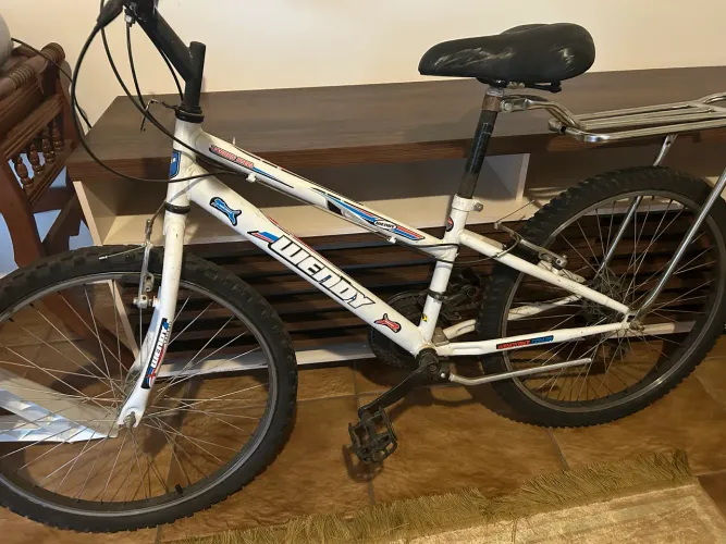 Bicicleta com garupa