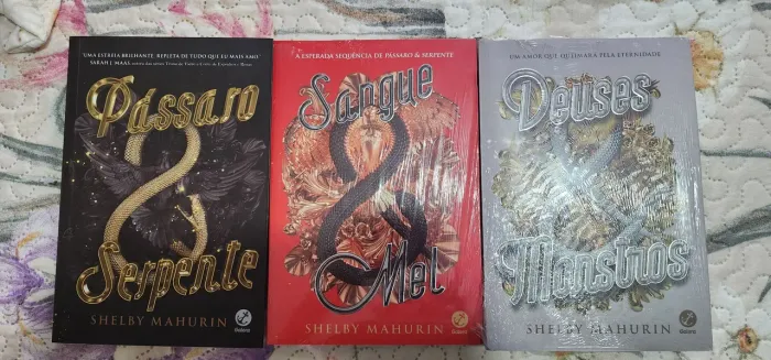 Livros Trilogia Pássaros e Serpente de Shelby Mahurin