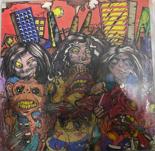 Disco de vinil  Defalla - we give a shit !  (Raro)