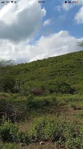 Sítio em Bananeiras