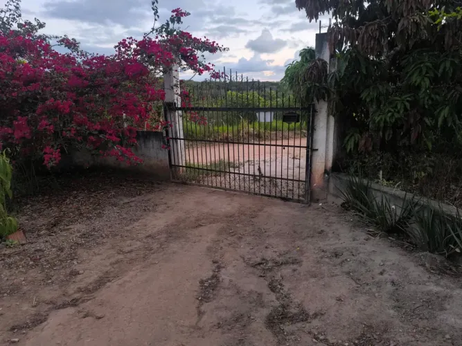 Jenipapo sítio com 3 hectares 