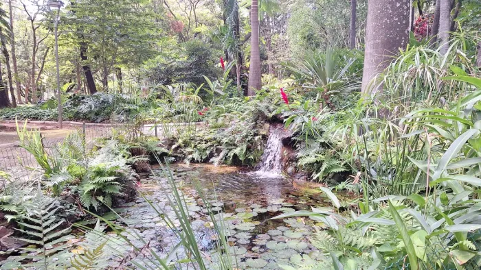  Fazendinha: terra fértil,  natureza preservada,  água abundante.