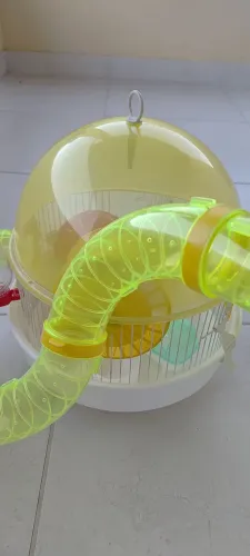Gaiola para Hamster com Globo e Tubos Coloridos