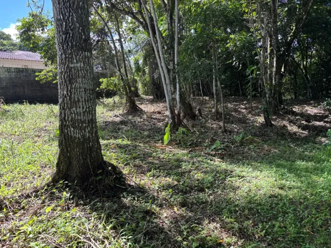 VENDO LOTE ENCANTADOR EM ALDEIA, VISTA BELÍSSIMA.