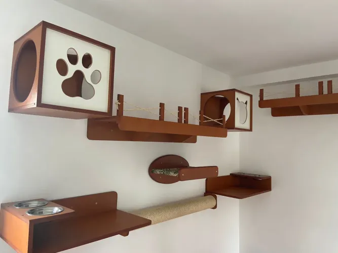 Circuito Playground para Gatos 