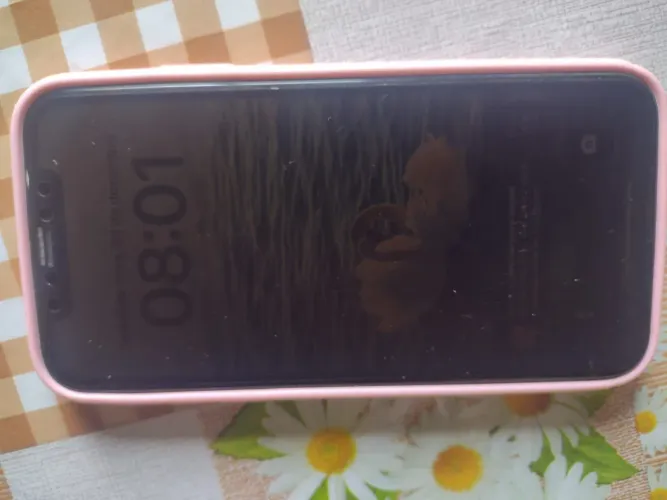 iPhone xr