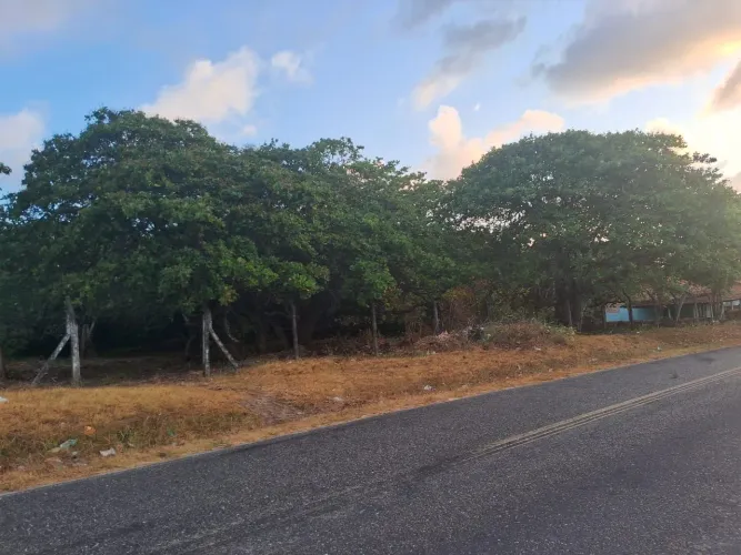 Vende-se terreno na estrada do Cuiarana, Salinópolis-PA medindo 63 x 170 , vila Itapeua .