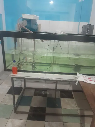 Aquário gigante