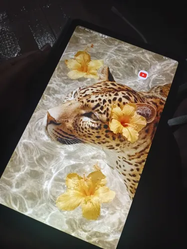 Galaxy Tab S6 Lite