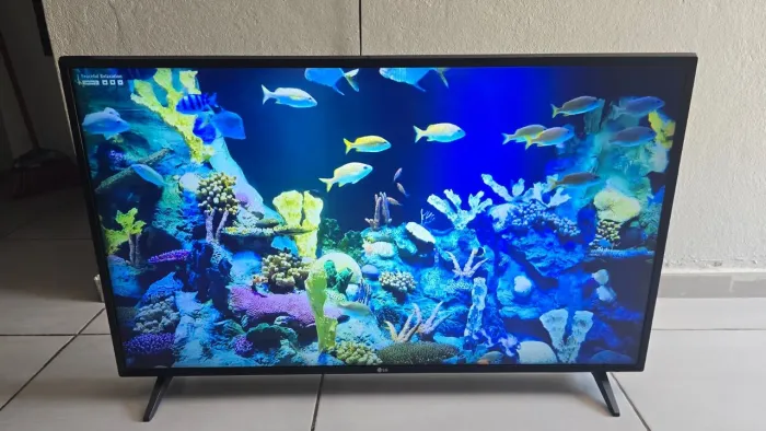 Vendo esta TV smart LG de 43' polegadas tudo funcionando com controle