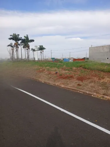 Vende-se Terreno no Centro de Presidente Castelo Branco