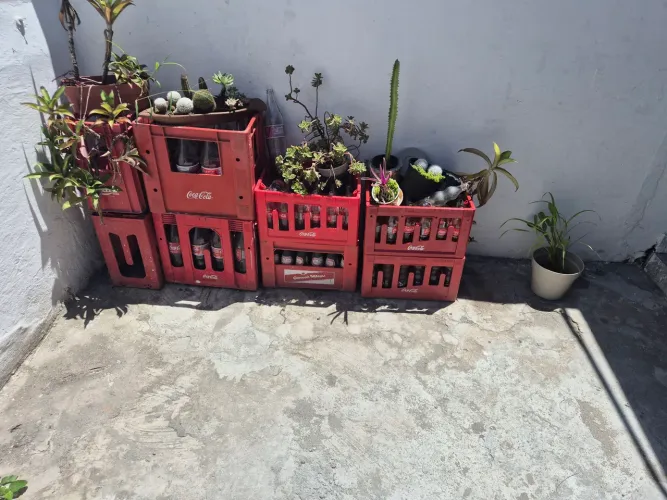 Caixa de refrigerante ks e Ls