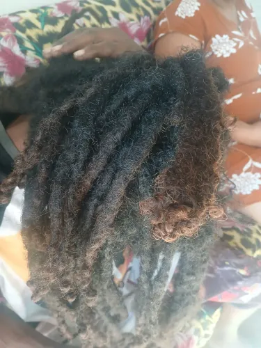 Cabelo rasta, humano.